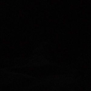 Meet your Posher, Donovan